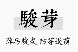 骏芽名字的寓意及含义