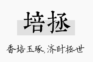 培拯名字的寓意及含义