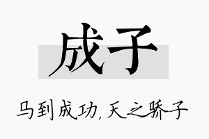 成子名字的寓意及含义