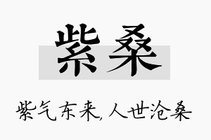 紫桑名字的寓意及含义