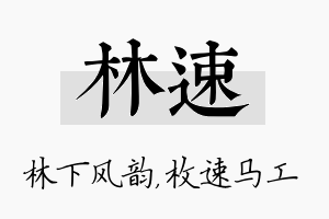 林速名字的寓意及含义