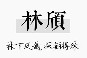 林颀名字的寓意及含义