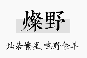 灿野名字的寓意及含义