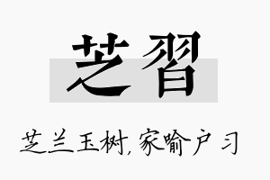 芝习名字的寓意及含义