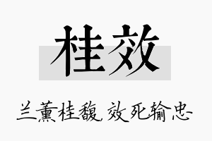 桂效名字的寓意及含义