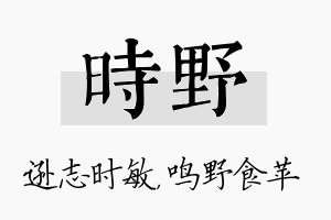 时野名字的寓意及含义