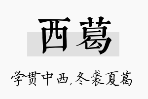 西葛名字的寓意及含义