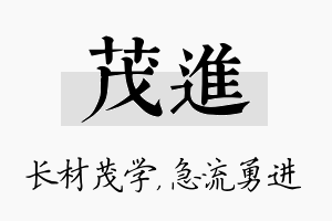 茂进名字的寓意及含义