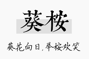 葵桉名字的寓意及含义