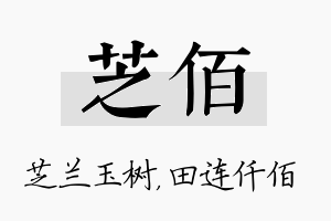 芝佰名字的寓意及含义