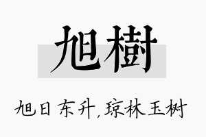 旭树名字的寓意及含义