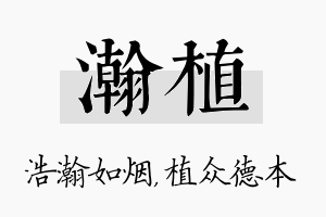 瀚植名字的寓意及含义