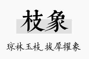 枝象名字的寓意及含义