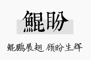 鲲盼名字的寓意及含义