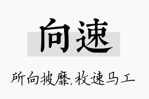 向速名字的寓意及含义