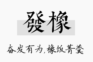 发橡名字的寓意及含义