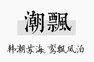 潮飘名字的寓意及含义