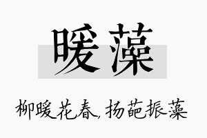 暖藻名字的寓意及含义