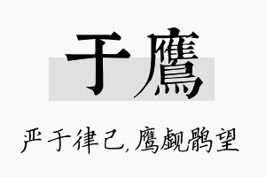 于鹰名字的寓意及含义