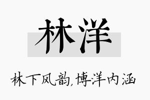 林洋名字的寓意及含义