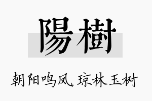 阳树名字的寓意及含义