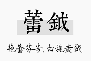 蕾钺名字的寓意及含义