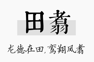 田翥名字的寓意及含义