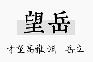 望岳名字的寓意及含义