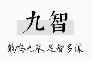 九智名字的寓意及含义