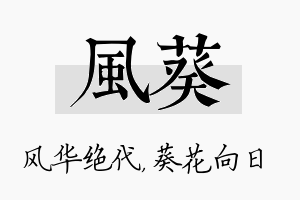 风葵名字的寓意及含义