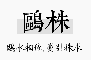 鸥株名字的寓意及含义