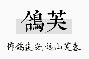 鸽芙名字的寓意及含义