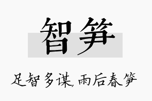 智笋名字的寓意及含义