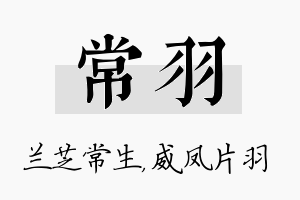 常羽名字的寓意及含义