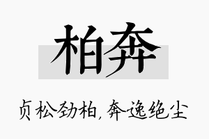 柏奔名字的寓意及含义