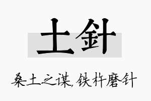 土针名字的寓意及含义