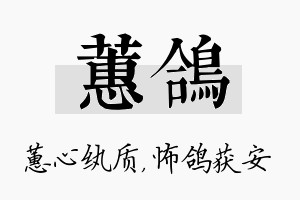 蕙鸽名字的寓意及含义