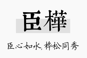 臣桦名字的寓意及含义