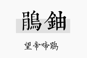 鹃铀名字的寓意及含义