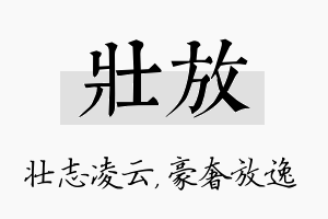 壮放名字的寓意及含义