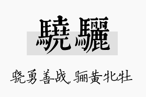 骁骊名字的寓意及含义