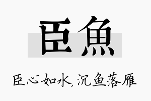 臣鱼名字的寓意及含义