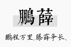 鹏薛名字的寓意及含义