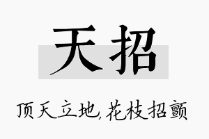 天招名字的寓意及含义