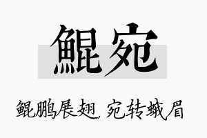 鲲宛名字的寓意及含义