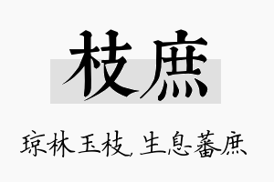 枝庶名字的寓意及含义