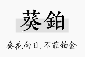 葵铂名字的寓意及含义