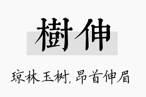 树伸名字的寓意及含义