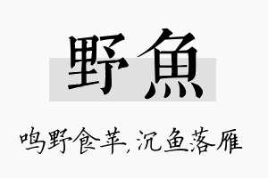 野鱼名字的寓意及含义