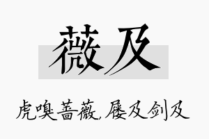 薇及名字的寓意及含义